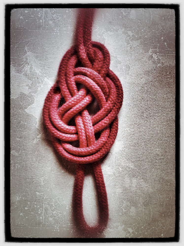 knot.jpg